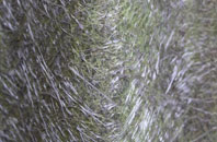 Wolvey fibreglass roof work